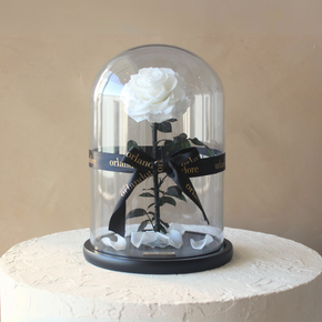 Everlasting Rose Dome | White