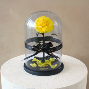 Everlasting Rose Dome | Yellow