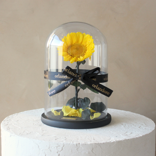 Everlasting Sunflower Dome