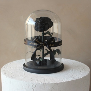 Everlasting Rose Dome | Black