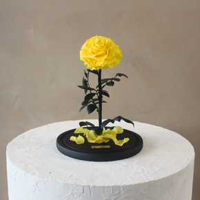 Everlasting Rose Dome | Yellow