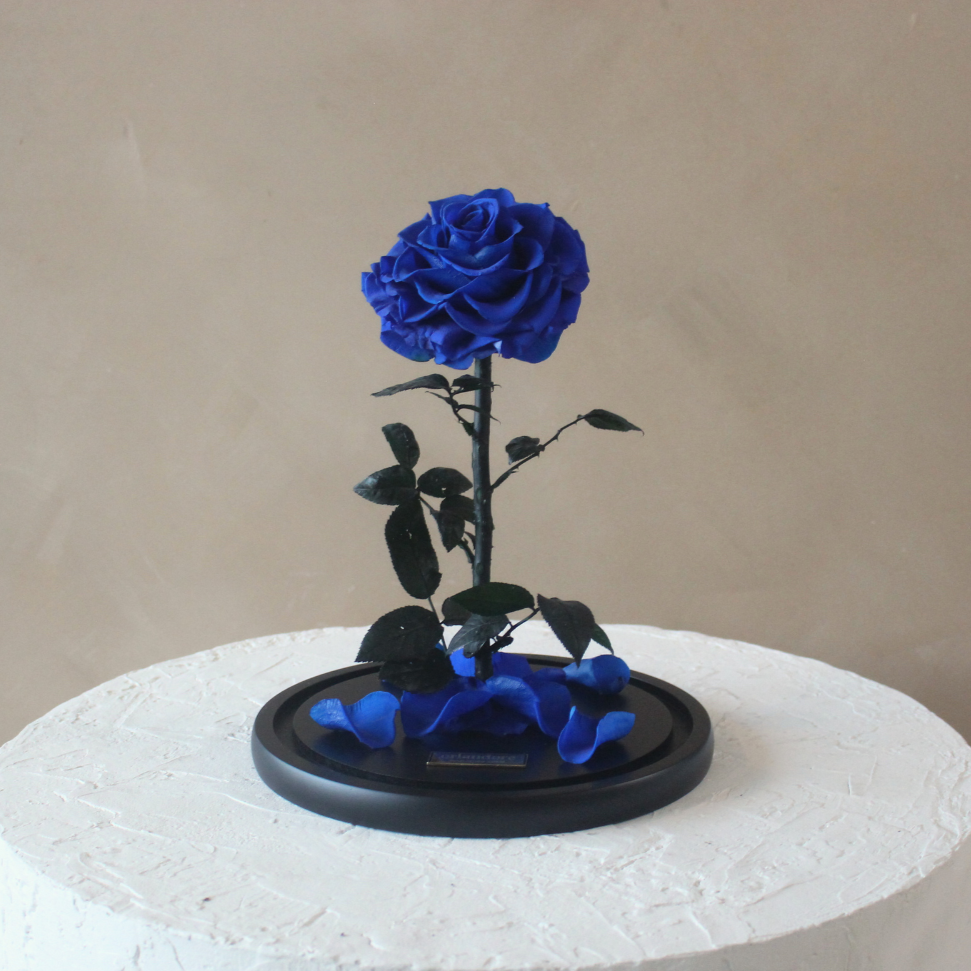 Everlasting Rose Dome | Royal Blue