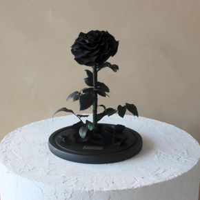 Everlasting Rose Dome | Black