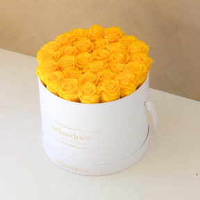 Large Round Rose Box