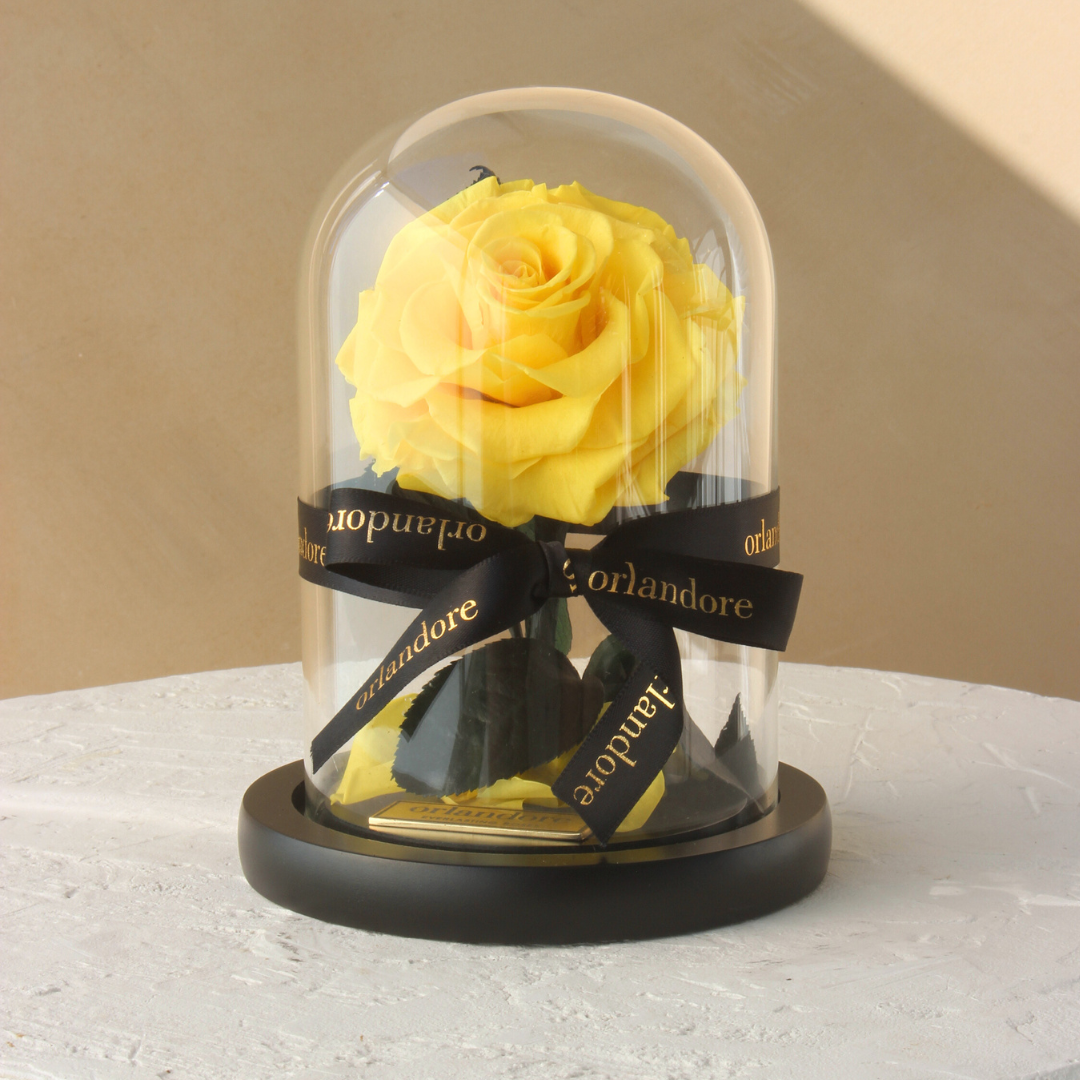 Mini Everlasting Rose Dome | Yellow