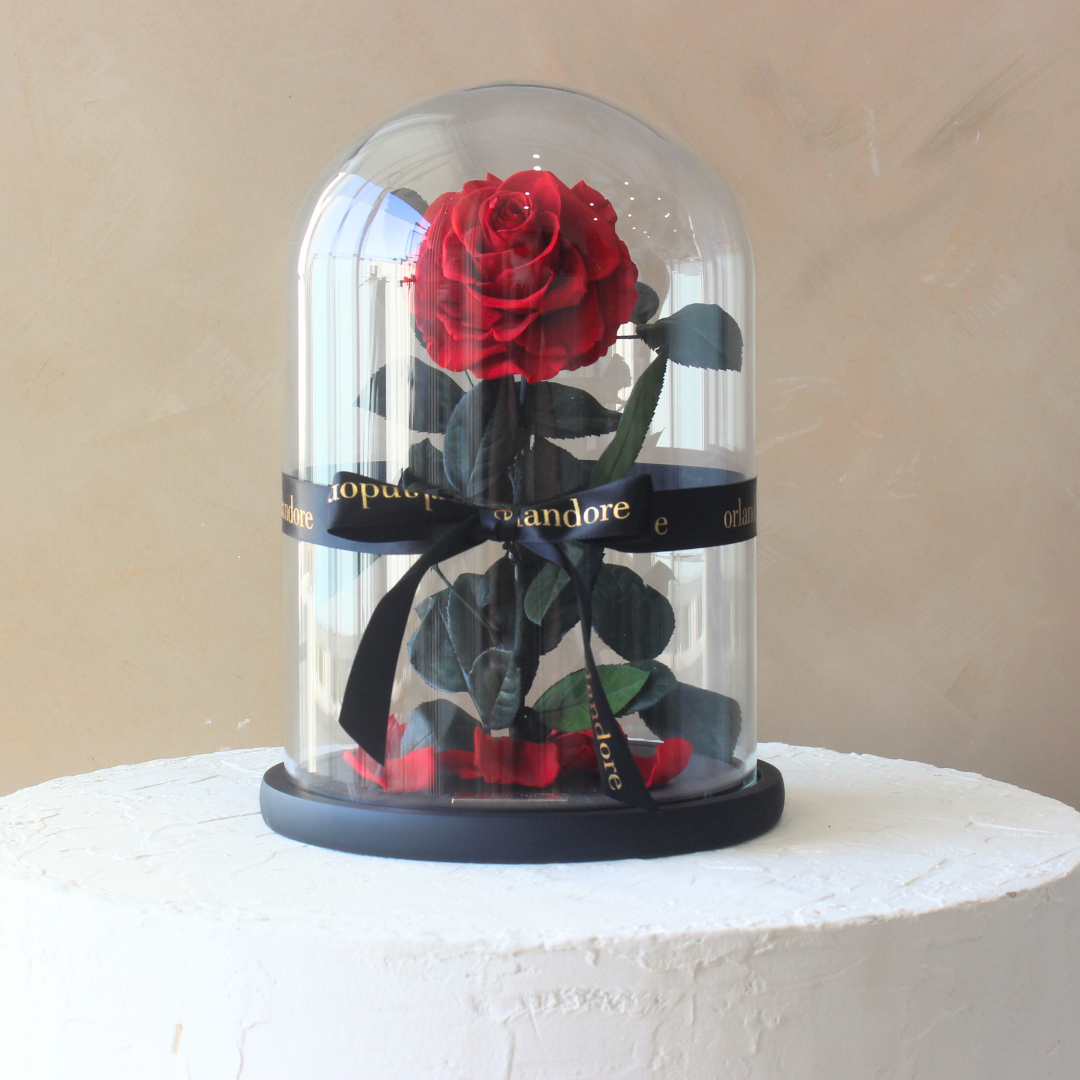 Everlasting Rose Dome | Red