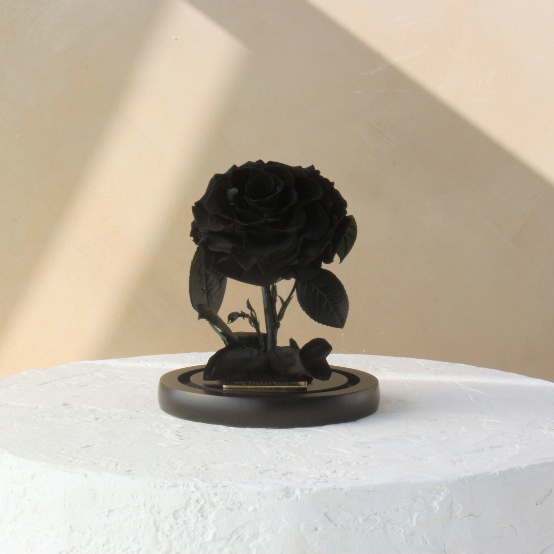 Mini Everlasting Rose Dome | Black