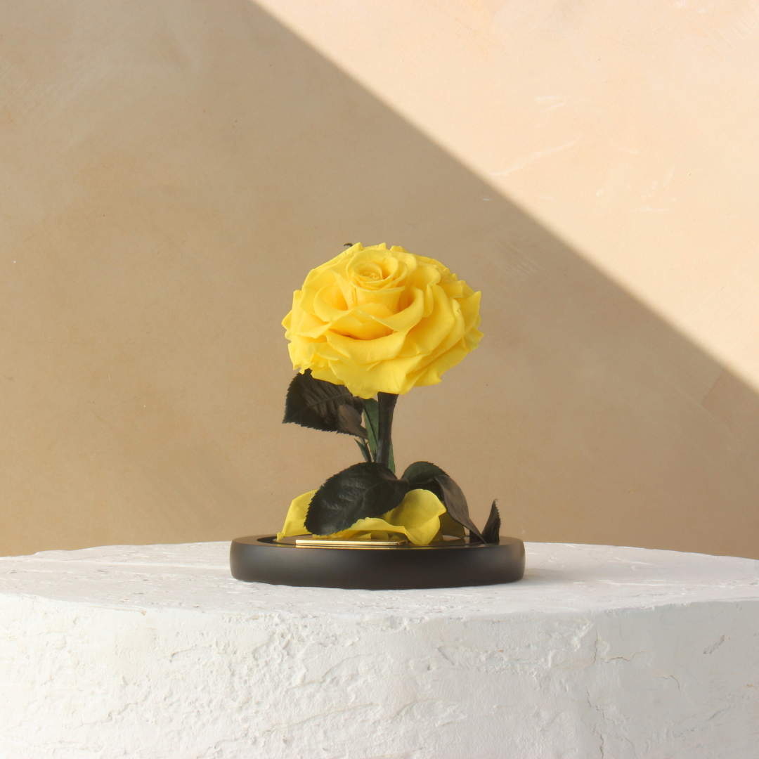 Mini Everlasting Rose Dome | Yellow