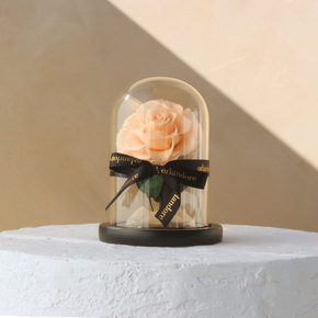 Mini Everlasting Rose Dome | Blush