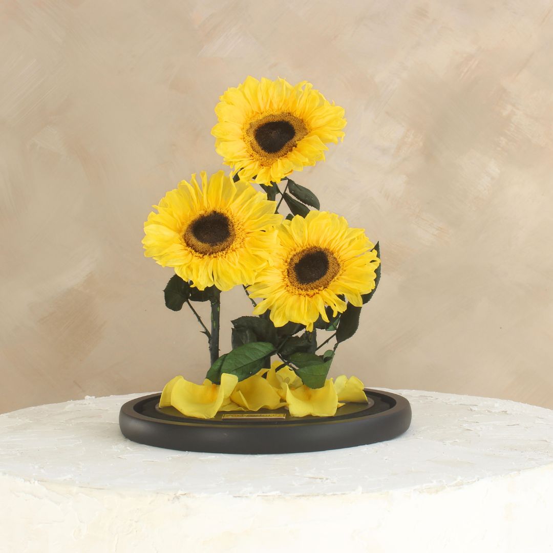 The Everlasting Sunflower Dome Trio