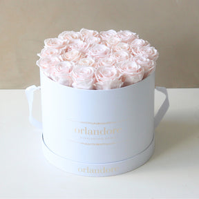 Large Round Rose Box