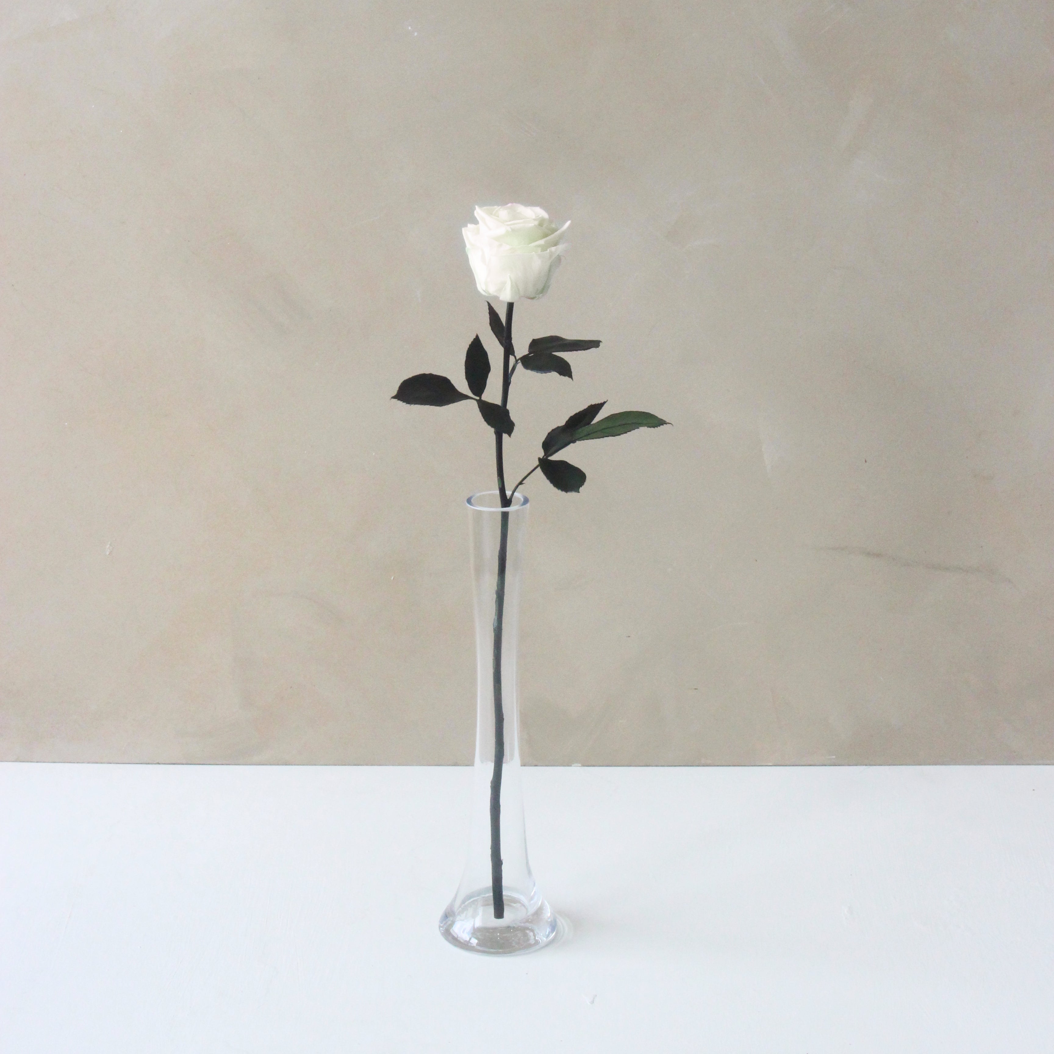 Single Everlasting Long Stemmed Rose