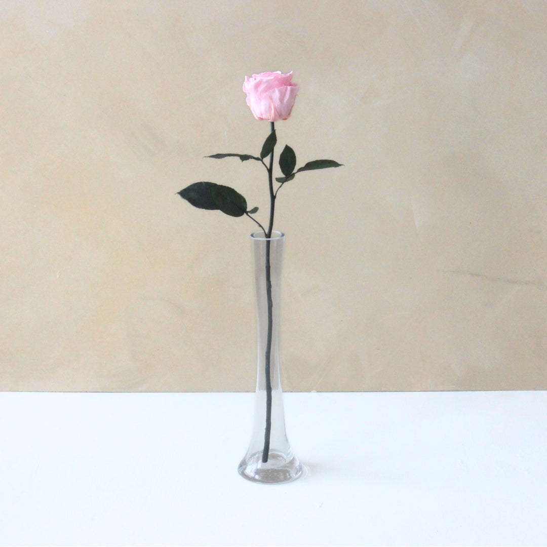 Single Everlasting Long Stemmed Rose