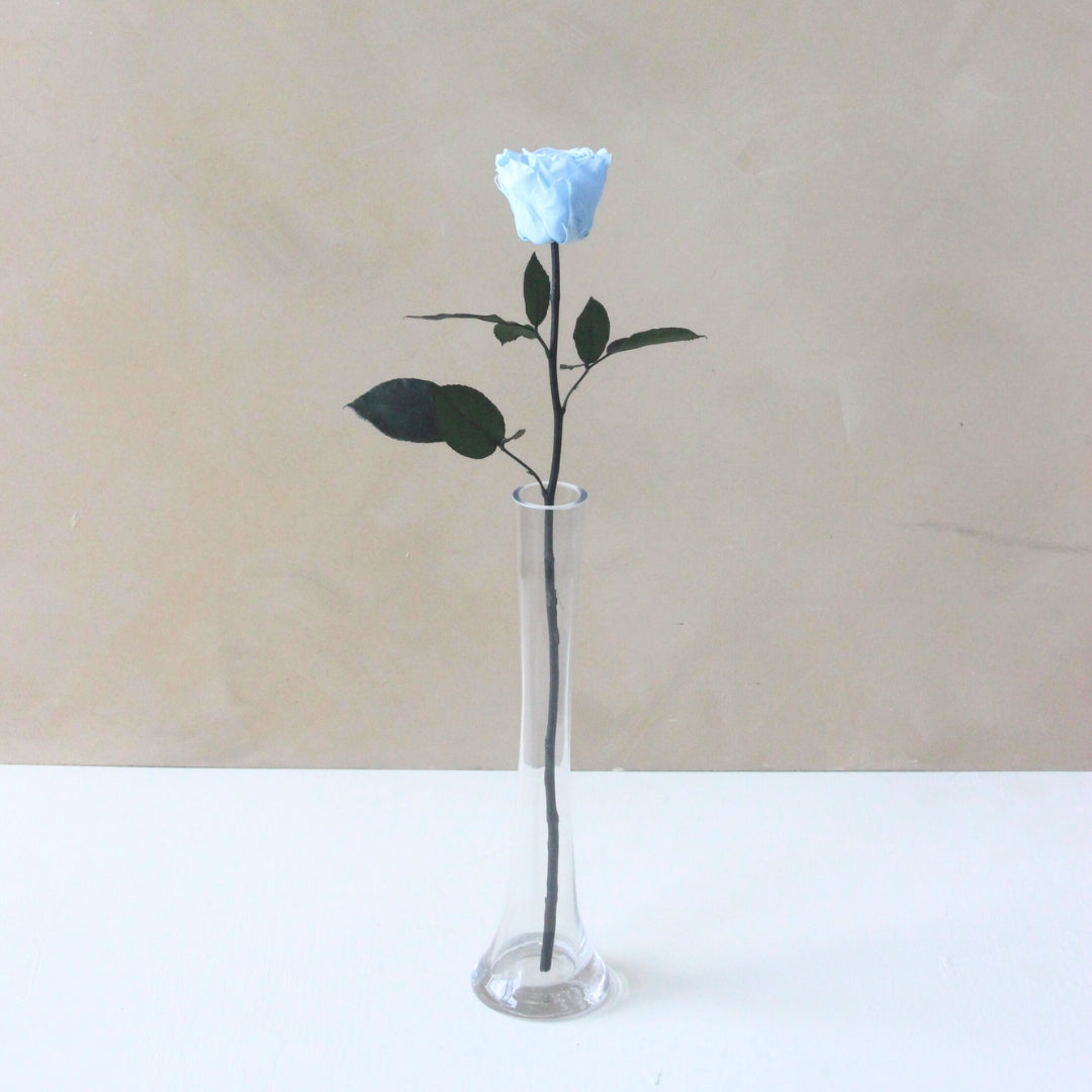 Single Everlasting Long Stemmed Rose