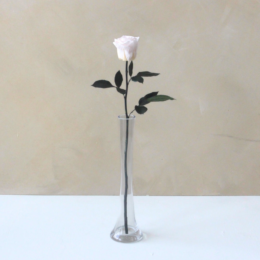 Single Everlasting Long Stemmed Rose