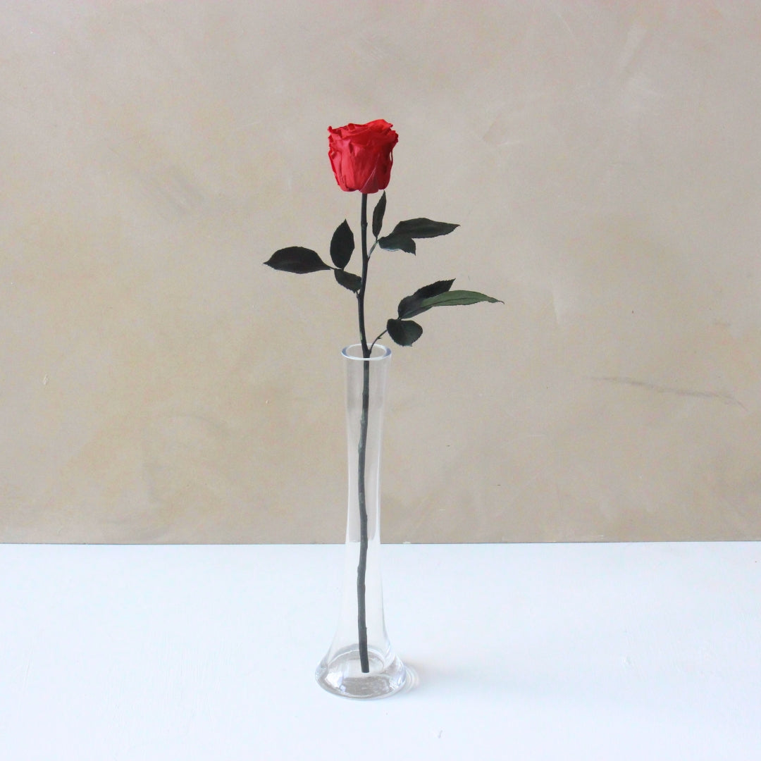 Single Everlasting Long Stemmed Rose