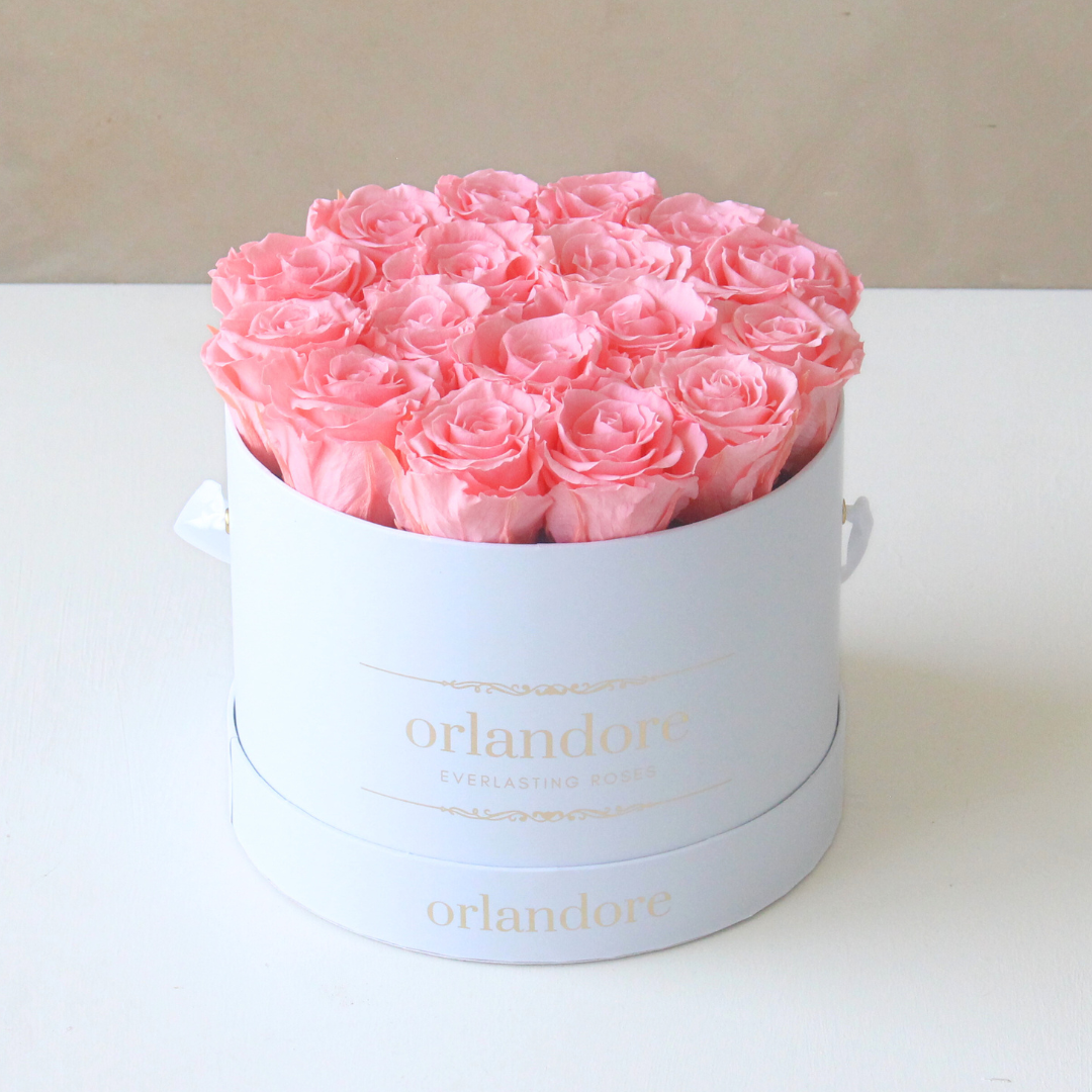 Limited Edition Coral Roses