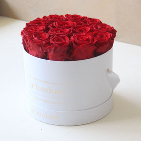 Medium Round Rose Box