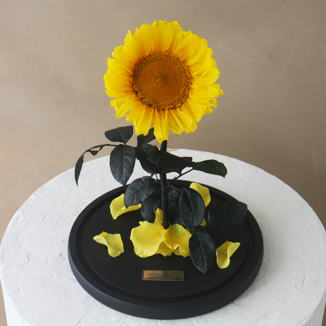 Everlasting Sunflower Dome