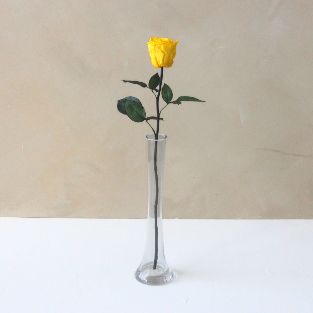 Single Everlasting Long Stemmed Rose