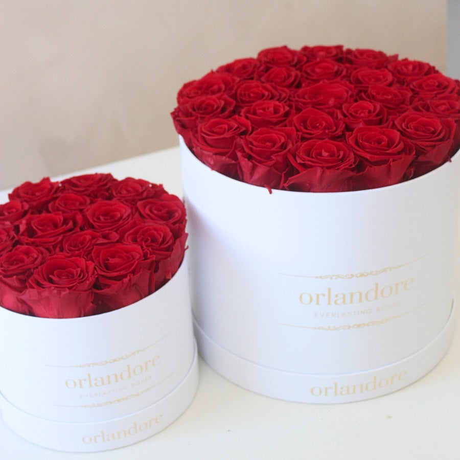 Large Box Roses Orlandore Everlasting Rose Box | Large Round – Orlandore Everlasting Roses
